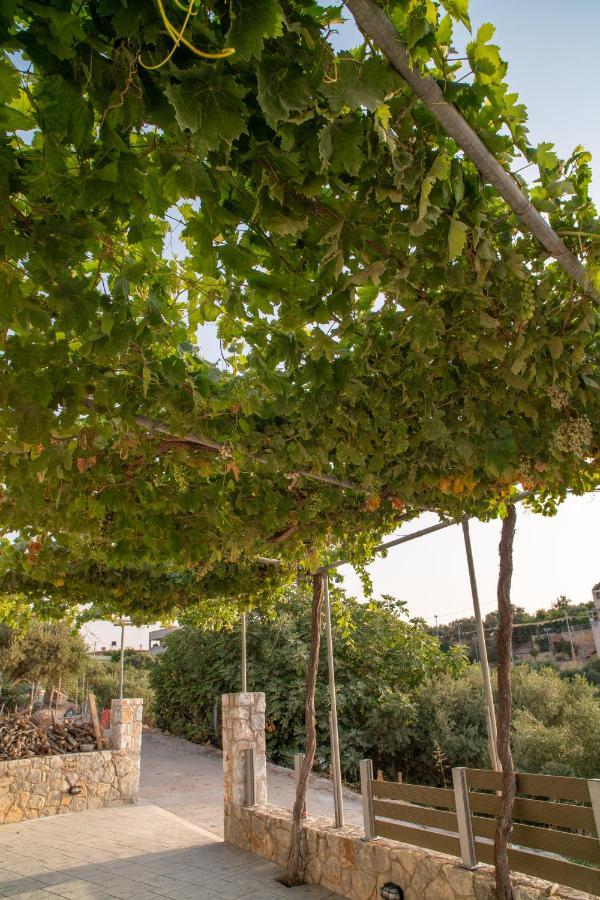 Hello Village Chania Sfakianalion Zewnętrze zdjęcie